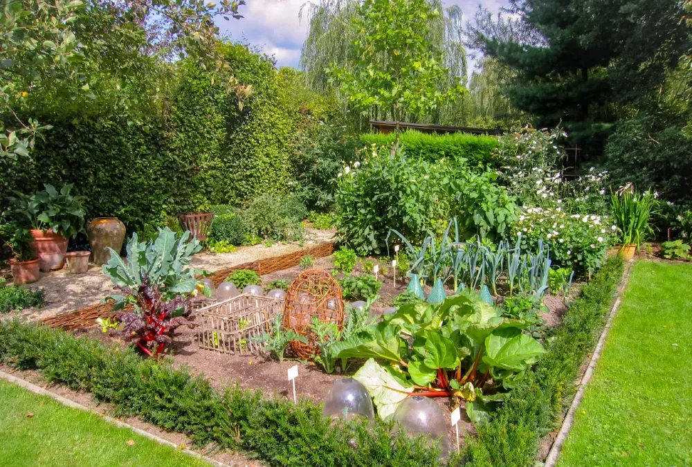 Sustainable Eco-Friendly Garden Landscaping Ideas for UK Homeowners