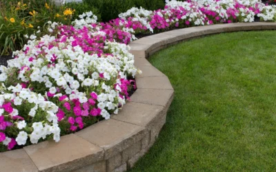 What Are Landscaping Services & What Work Is Included?
