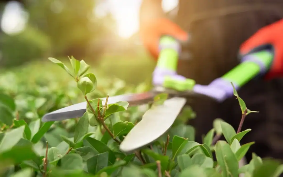 Why the Best Landscapers in Gloucestershire Need In-Person Visits to Provide Quotations