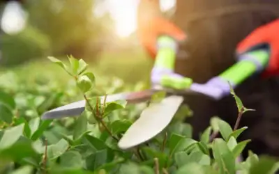Why the Best Landscapers in Gloucestershire Need In-Person Visits to Provide Quotations